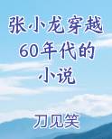 张小龙穿越60年代的小说