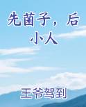 先菌子，后小人